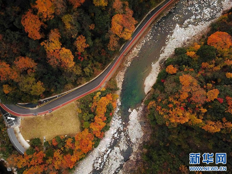 丰富供给添活力 四川奏响文旅融合