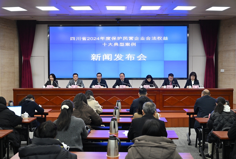 2024年度四川省保护民营企业合法权益十大典型案例公布-新华网