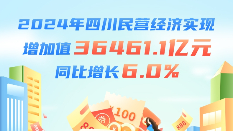 聚焦四川民营经济高质量发展-新华网