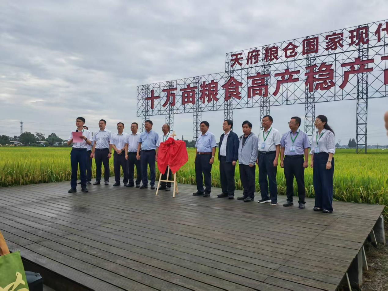 2026年水稻产业技术发展报告会在四川成都召开