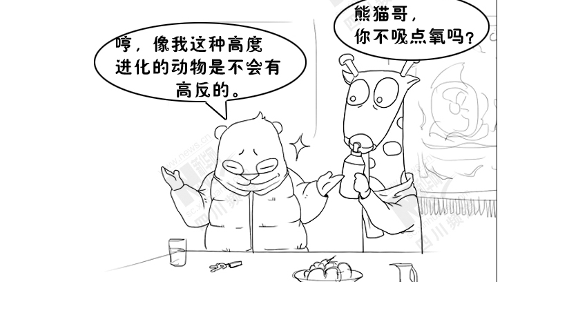 熊猫剧场第七期：318川藏线特辑之高反记
