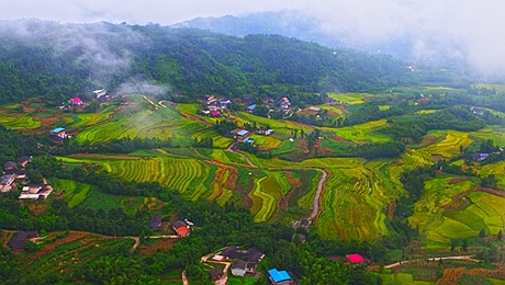 乐山多少人口_乐山市,市区人口有多少(3)