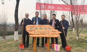第40个植树节：成都市环保局在天府绿道认植一片“环保樱花林”