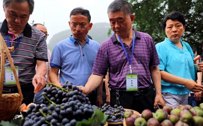 全国地理标志农产品保护工程在四川眉山正式启动