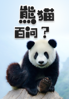 新华网专题｜熊猫百问你来问