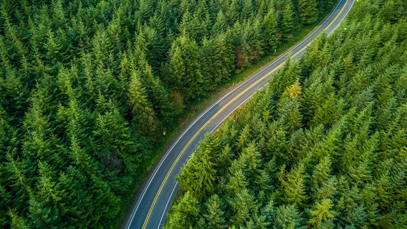 第二批国家林业产业示范园区名单出炉
