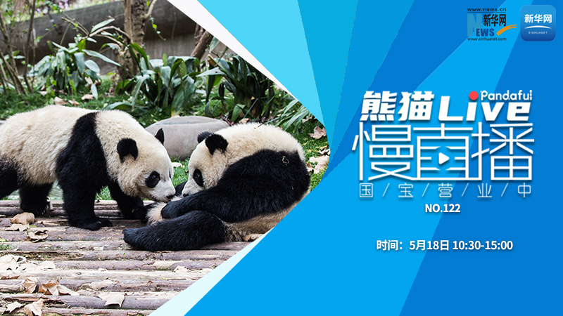 熊猫慢直播：国宝营业中（122）