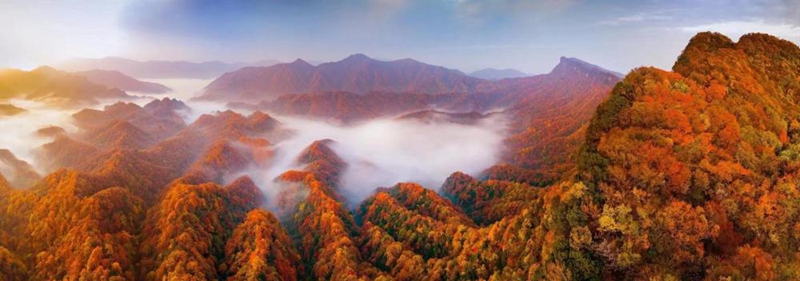巴中市南江县：千年植绿护绿，今变金山银山-新华网
