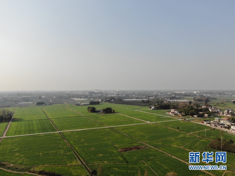 成都市新都区农业农村局不负农时抓春耕 助力“天府粮仓”建设-新华网